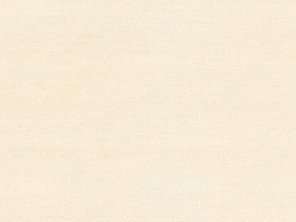 白雀圆影（SBY-T0018)